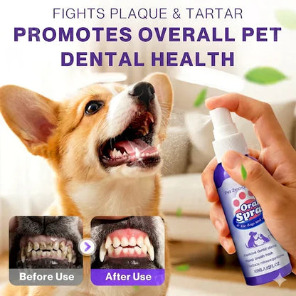 SOFTRYN™ Advanced Pet Oral Spray | Fresher Breath, Plaque Biofilm & Gum Care — No Brushing