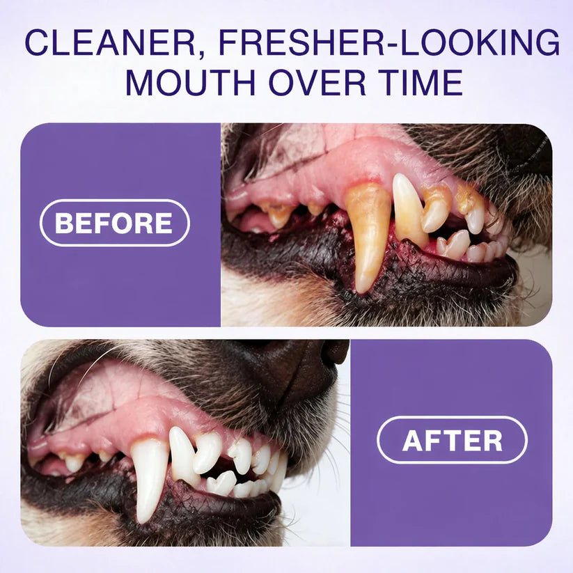 SOFTRYN™ Advanced Pet Oral Spray | Fresher Breath, Plaque Biofilm & Gum Care — No Brushing